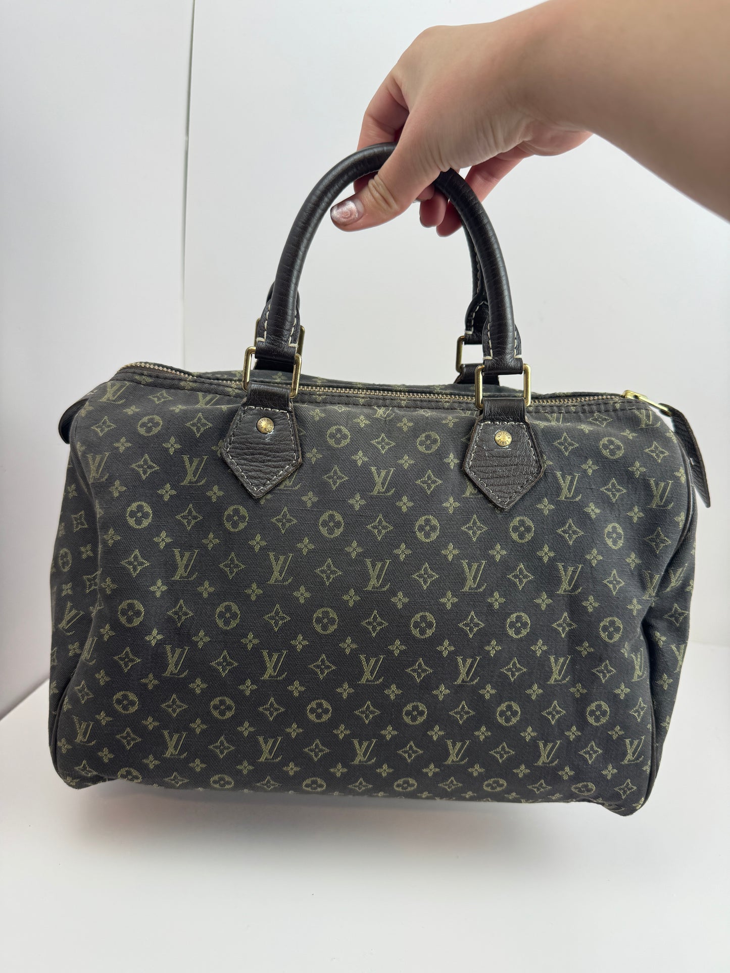 Louis Vuitton Speedy 30 Idylle Monogram