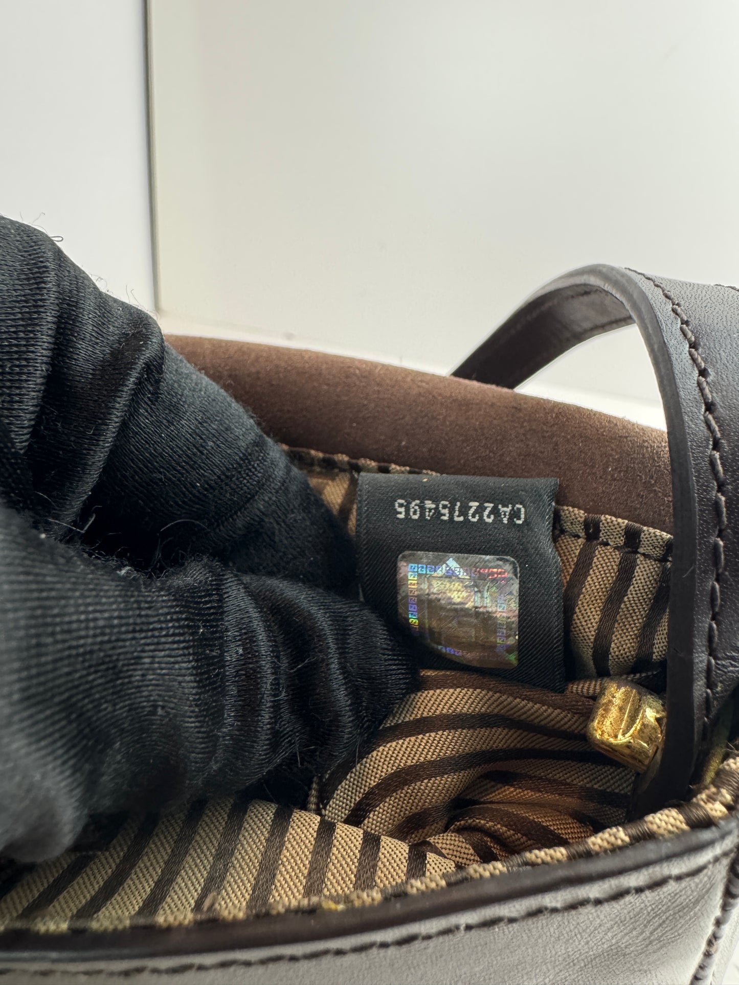 Fendi Vitello Elite Small Chameleon Crossbody Dark Brown