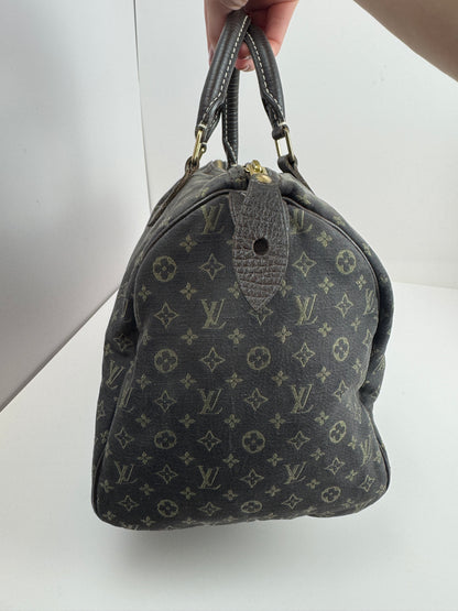 Louis Vuitton Speedy 30 Idylle Monogram
