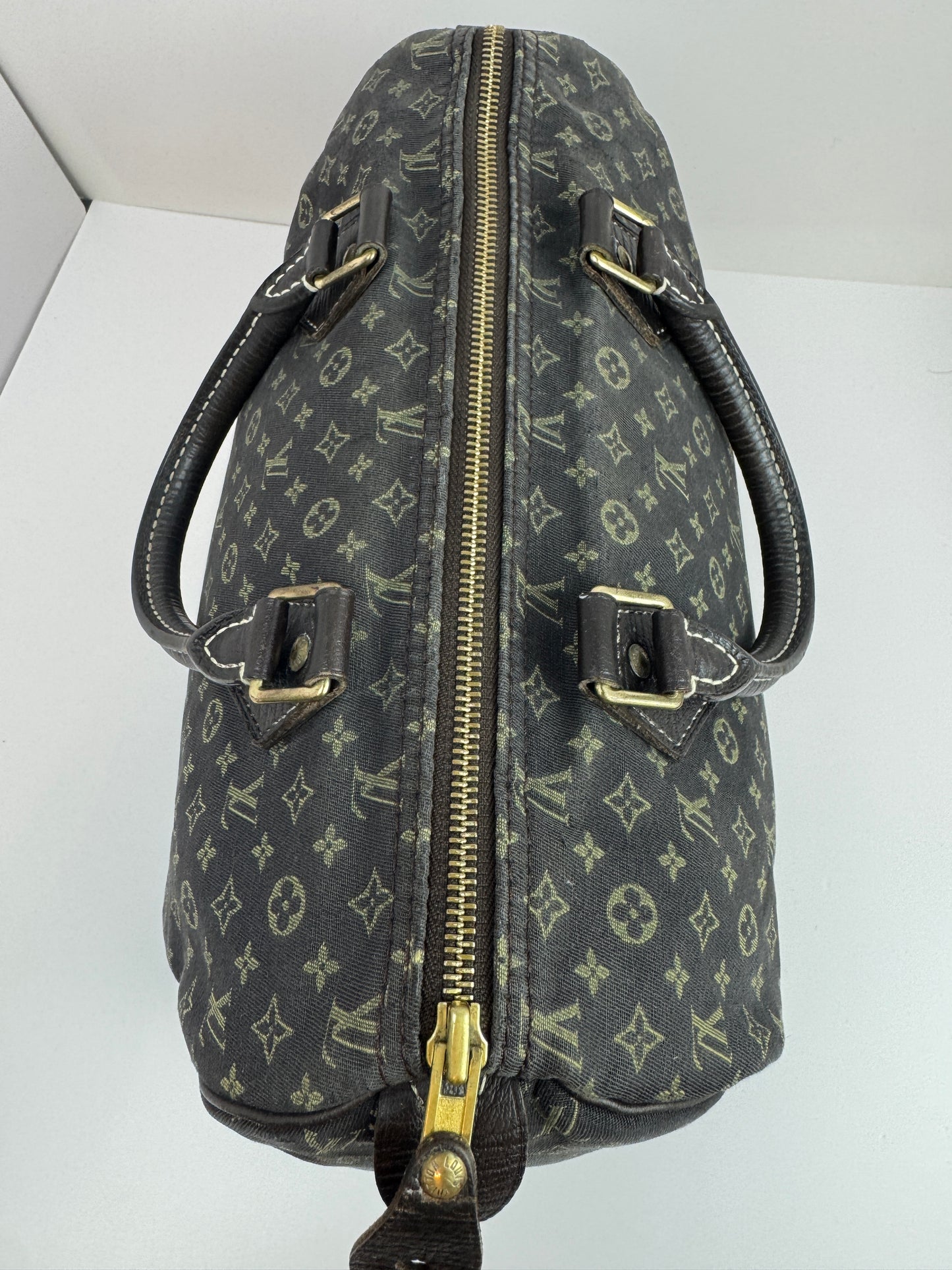 Louis Vuitton Speedy 30 Idylle Monogram