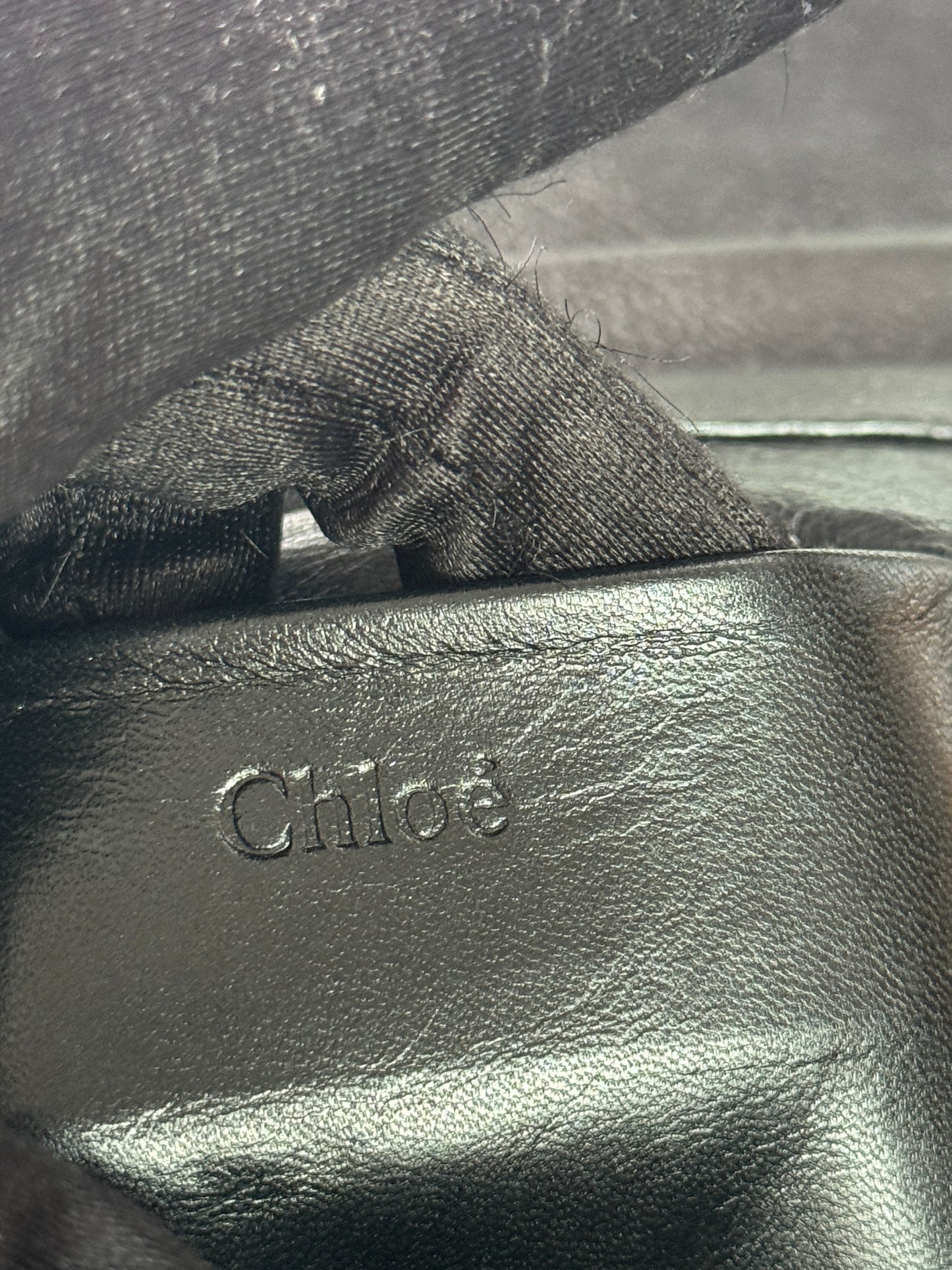 CHLOE Elsie Python Medium Shoulder Bag