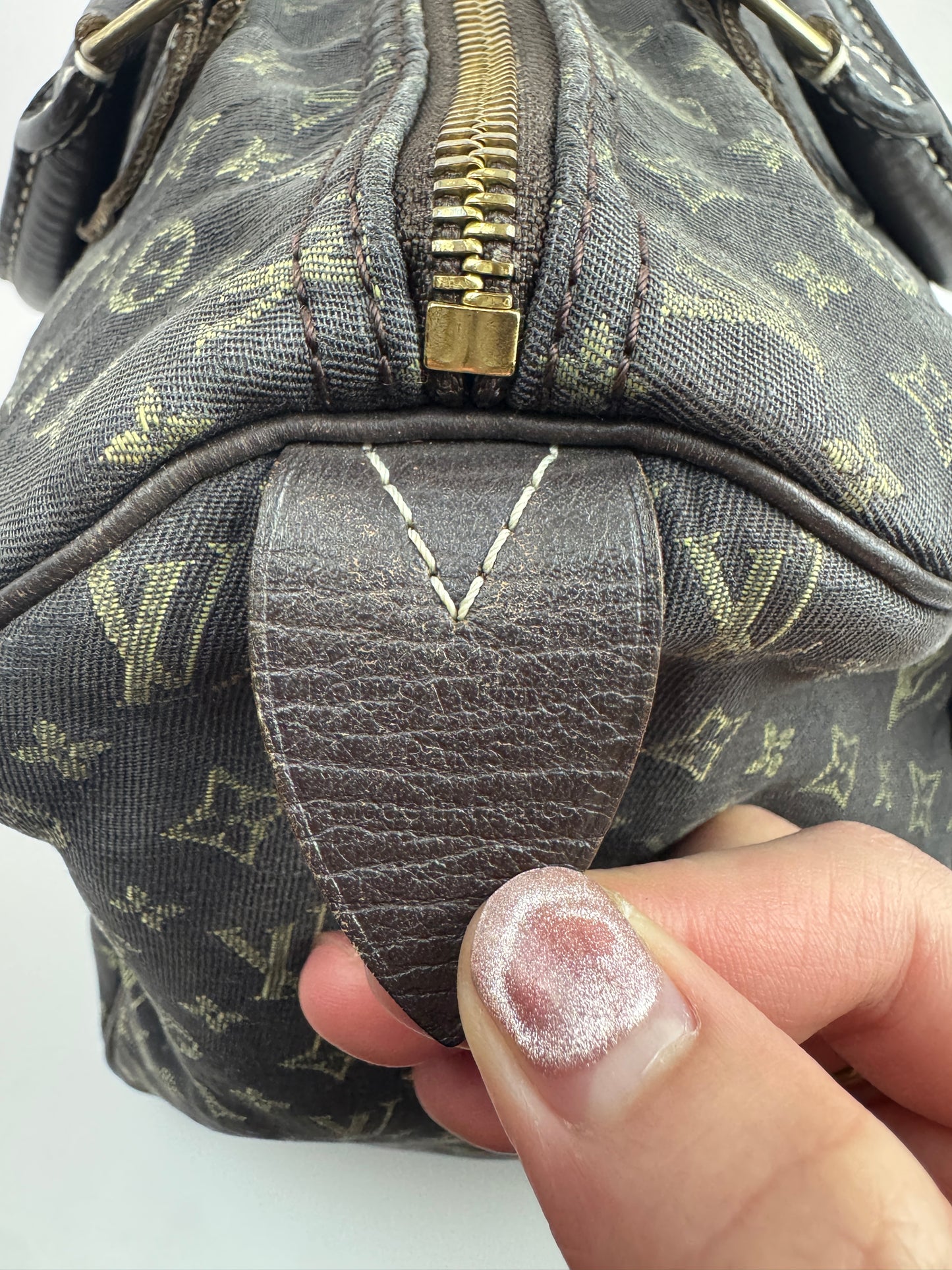 Louis Vuitton Speedy 30 Idylle Monogram