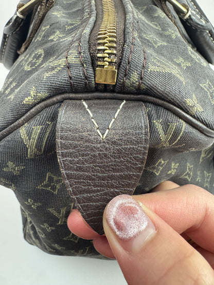 Louis Vuitton Speedy 30 Idylle Monogram
