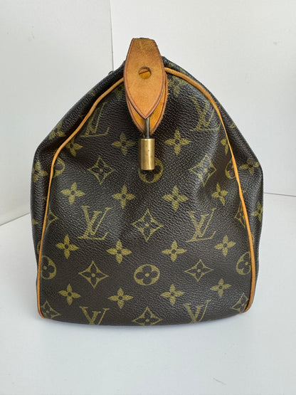 Louis Vuitton Speedy 30 Monogram