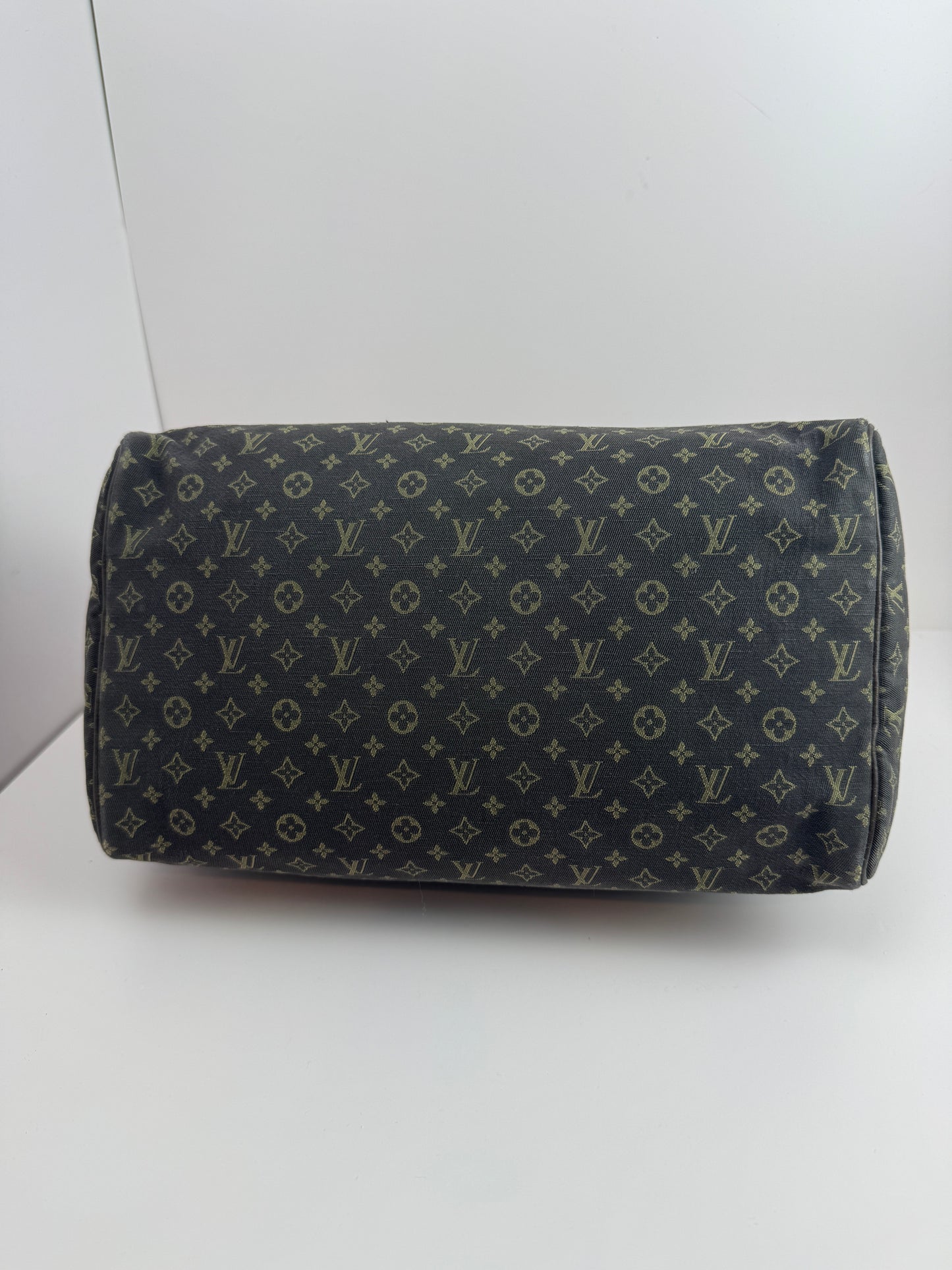 Louis Vuitton Speedy 30 Idylle Monogram