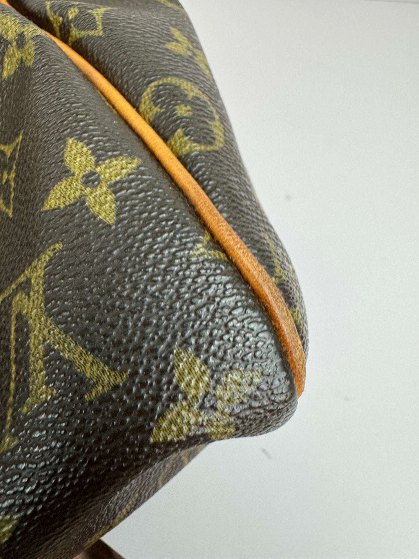 Louis Vuitton Speedy 30 Monogram