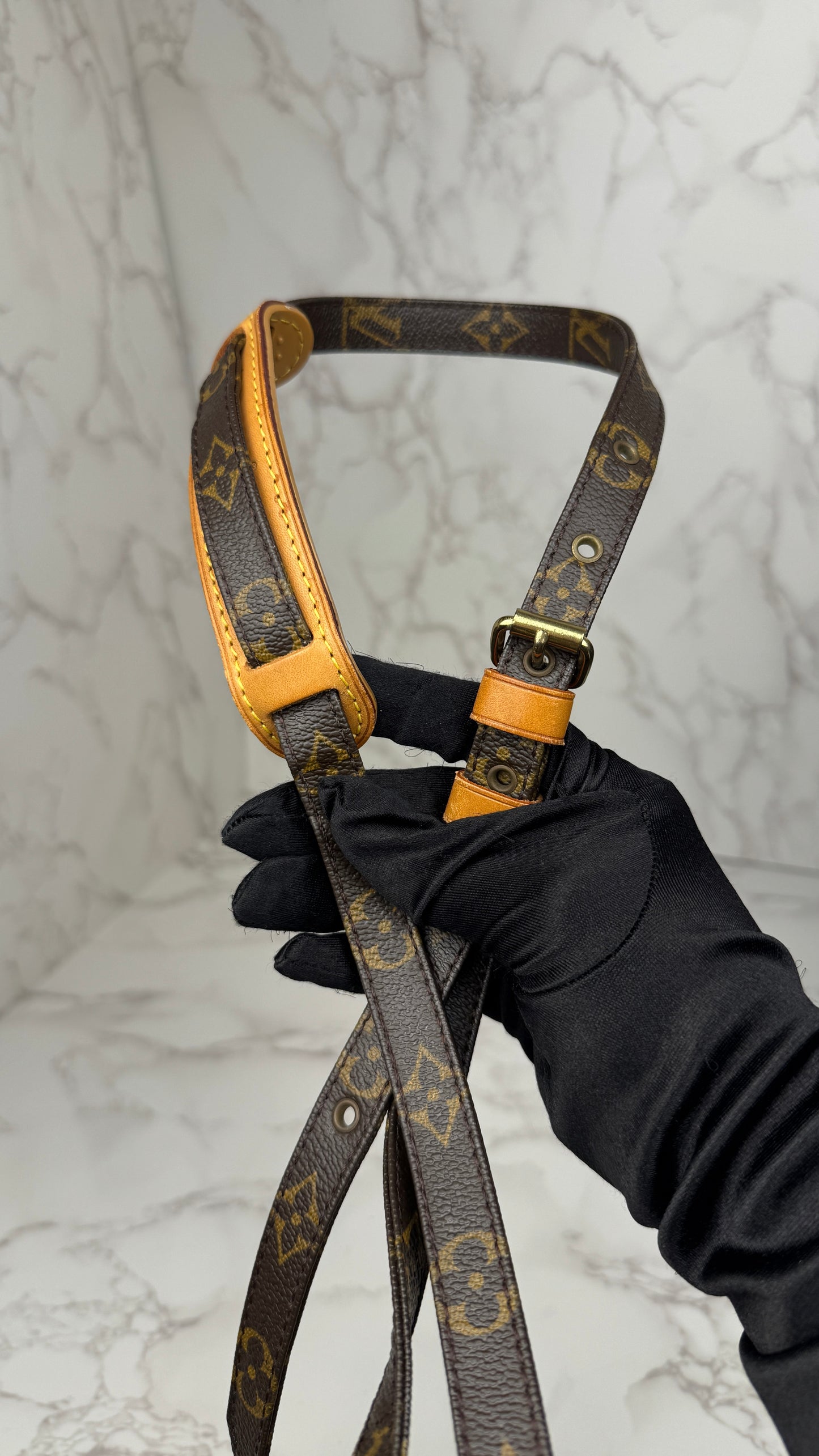 Louis Vuitton Amazon Monogram Crossbody