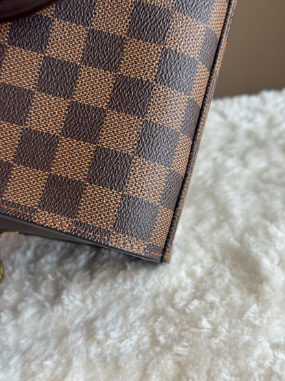 LOUIS VUITTON Triana Ebene Damier Bag