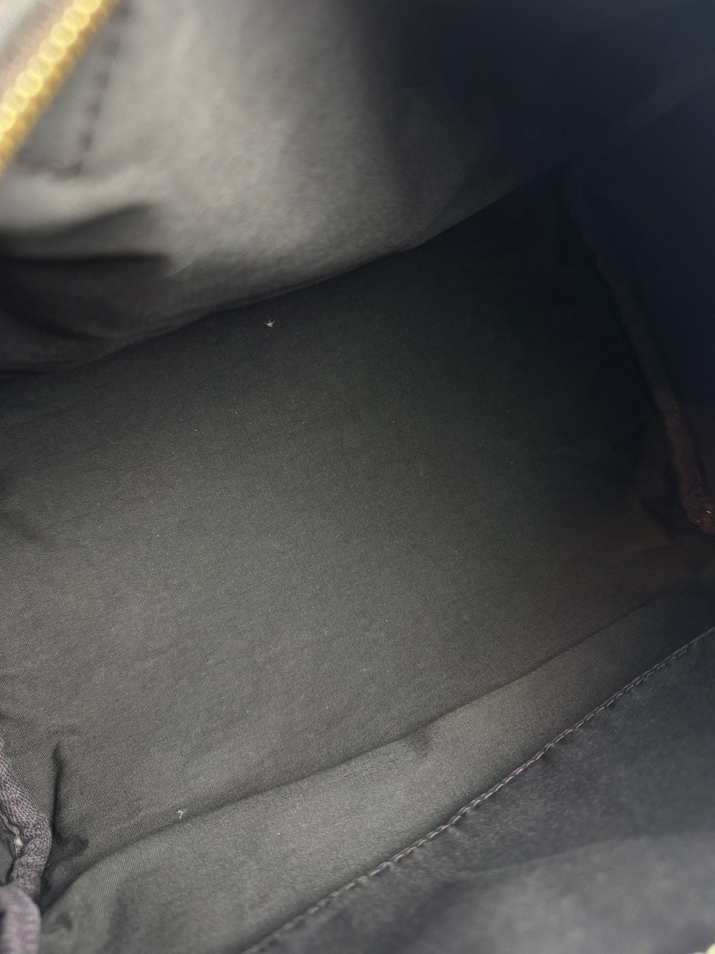 Louis Vuitton Speedy 30 Idylle Monogram