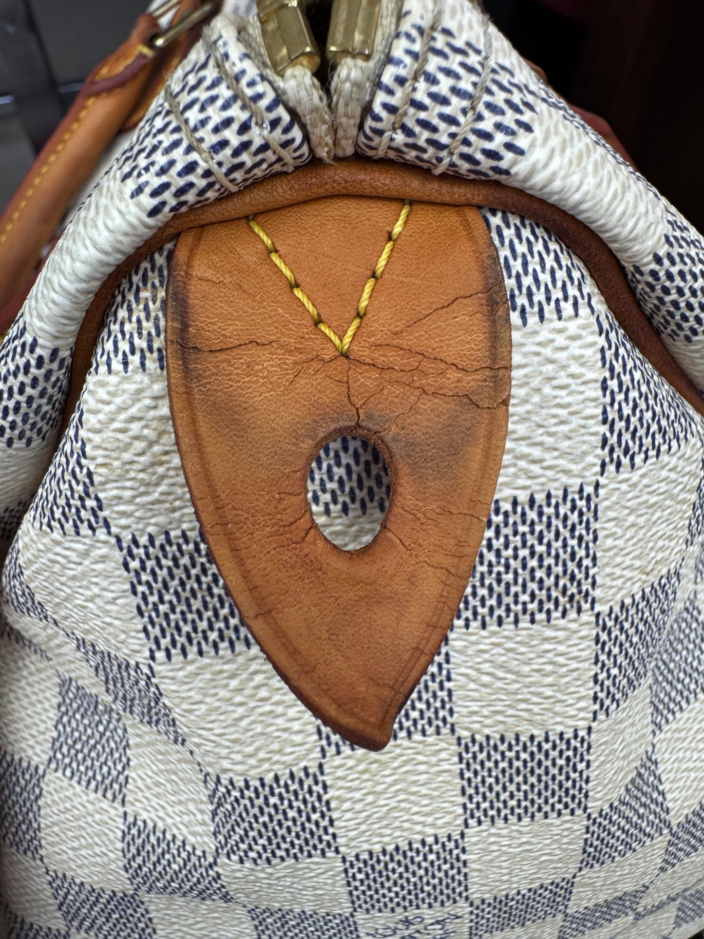Louis Vuitton Speedy 30 Azu