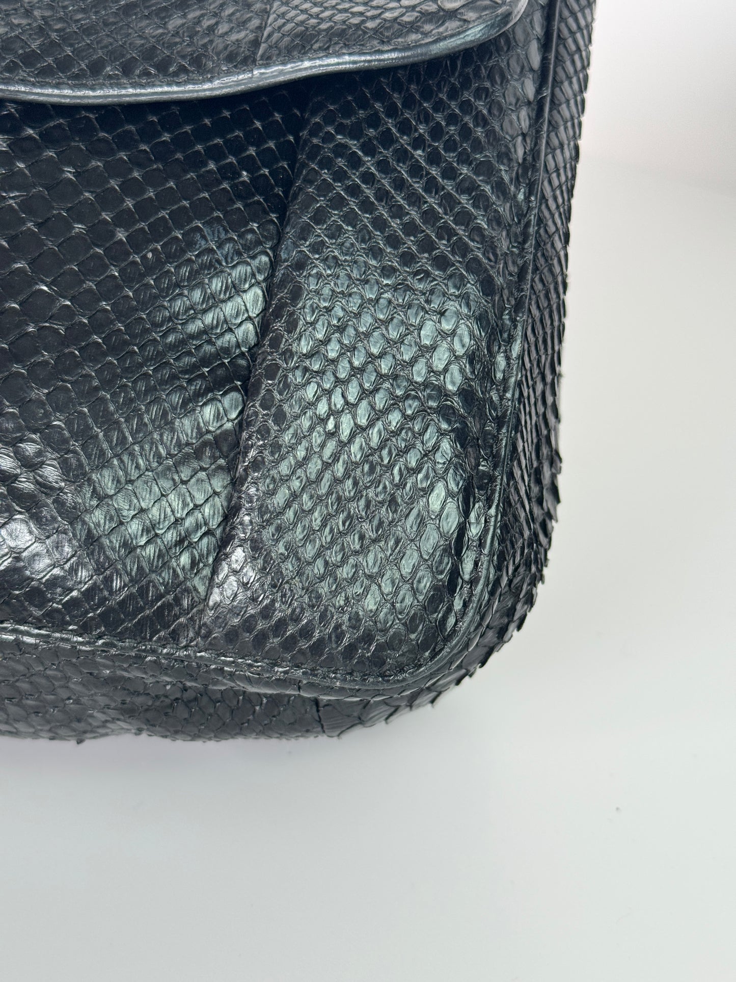 CHLOE Elsie Python Medium Shoulder Bag