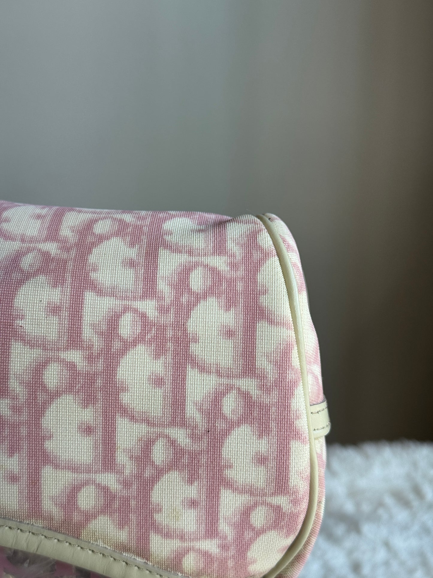 CHRISTIAN DIOR Bowler Monogram pink