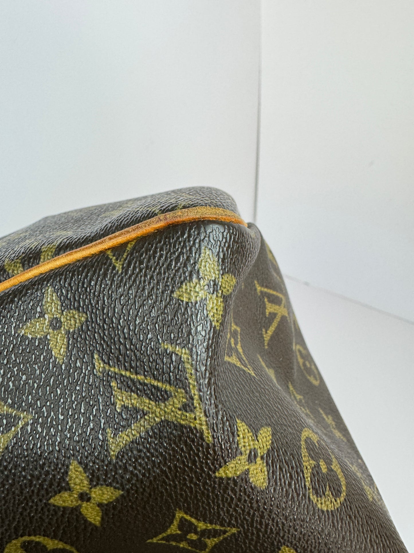 Louis Vuitton Speedy 30 Monogram