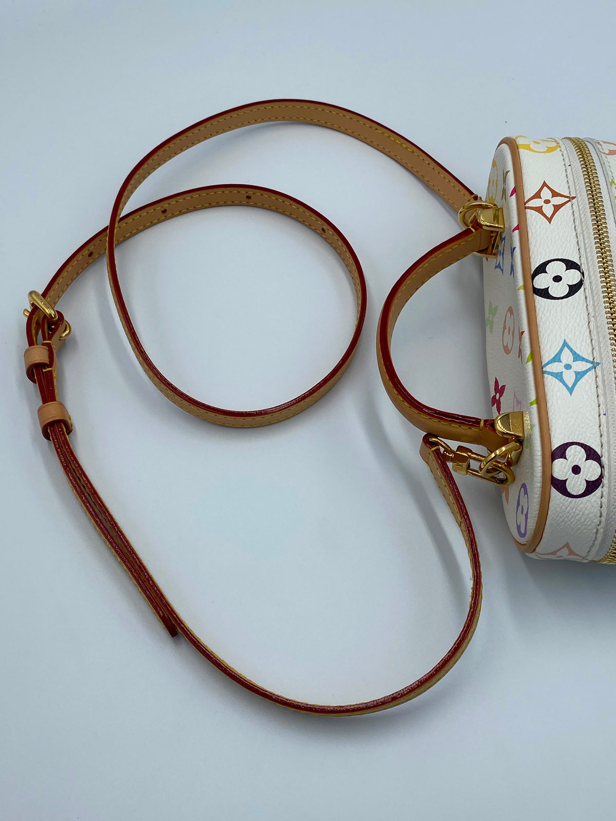 Louis Vuitton x Takashi Murakami Multicolor Monogram Vanity Chain pouch
