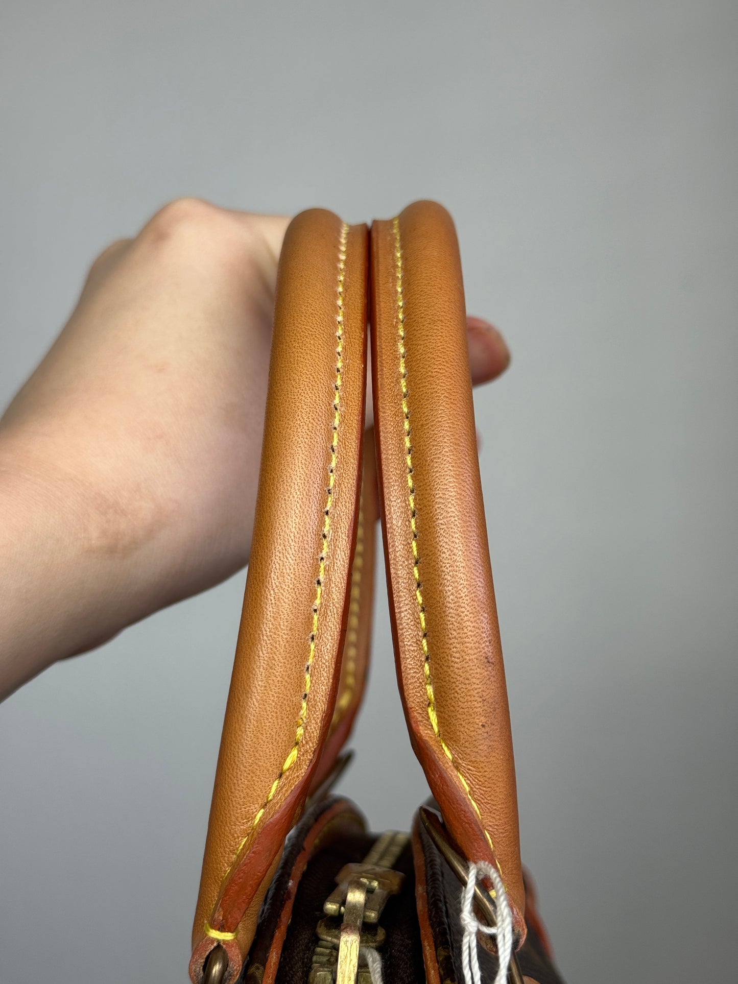 LOUIS VUITTON Ellipse monogram canvas PM